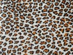 Jaguar - SOFT
