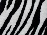 Zebra - SOFT
