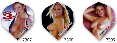Page 3 Darts Flights
