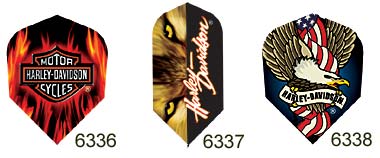 flames, eagle