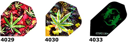 pot, lizards, geckos