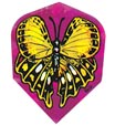 magenta butterfly