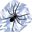 black widow