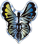 butterfly