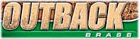 Outback Brass Steel Tip Darts