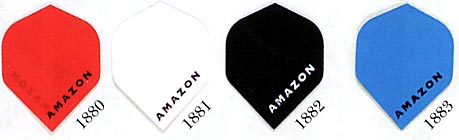 amazon standard