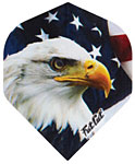 USA Flag and Eagle
