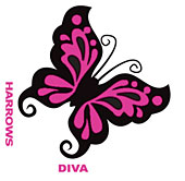 Diva Dart Flite Butterfly