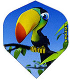 Amazon Cartton Toucan