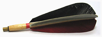 Long Jumbo Feather Shieldback