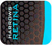 Retina dart flights